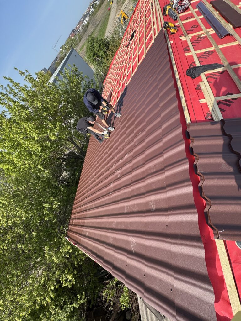 IMG 5074